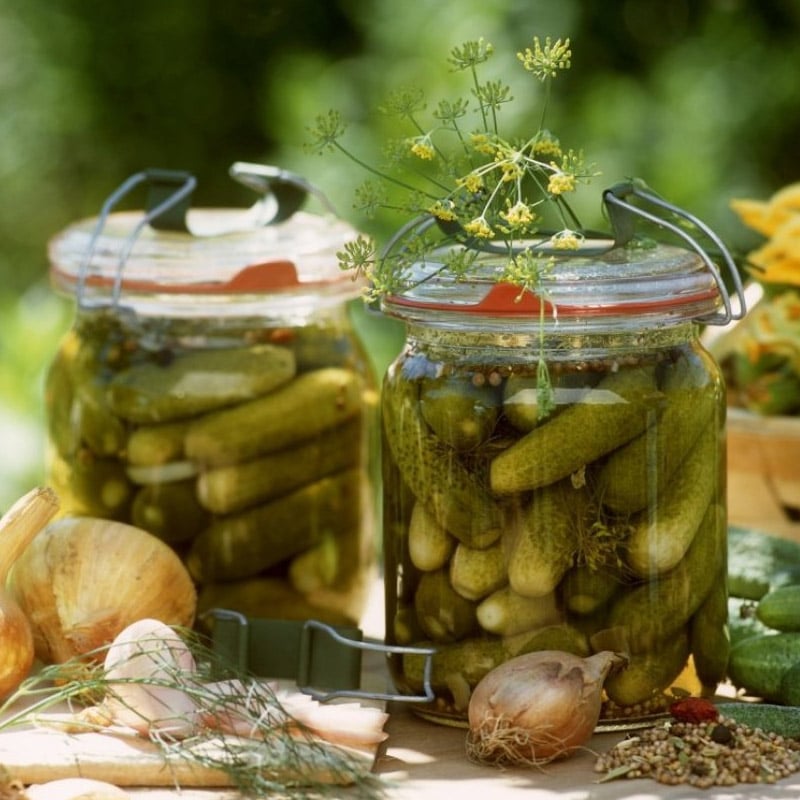 Pickled baby Cucumbers - Image 2