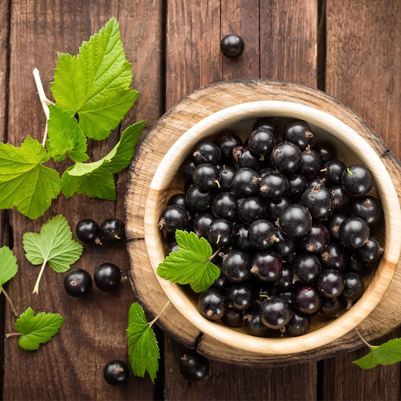 Balsamic vinegar - Image 2